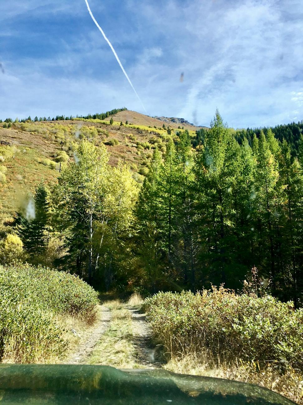 Wilderness Adventures